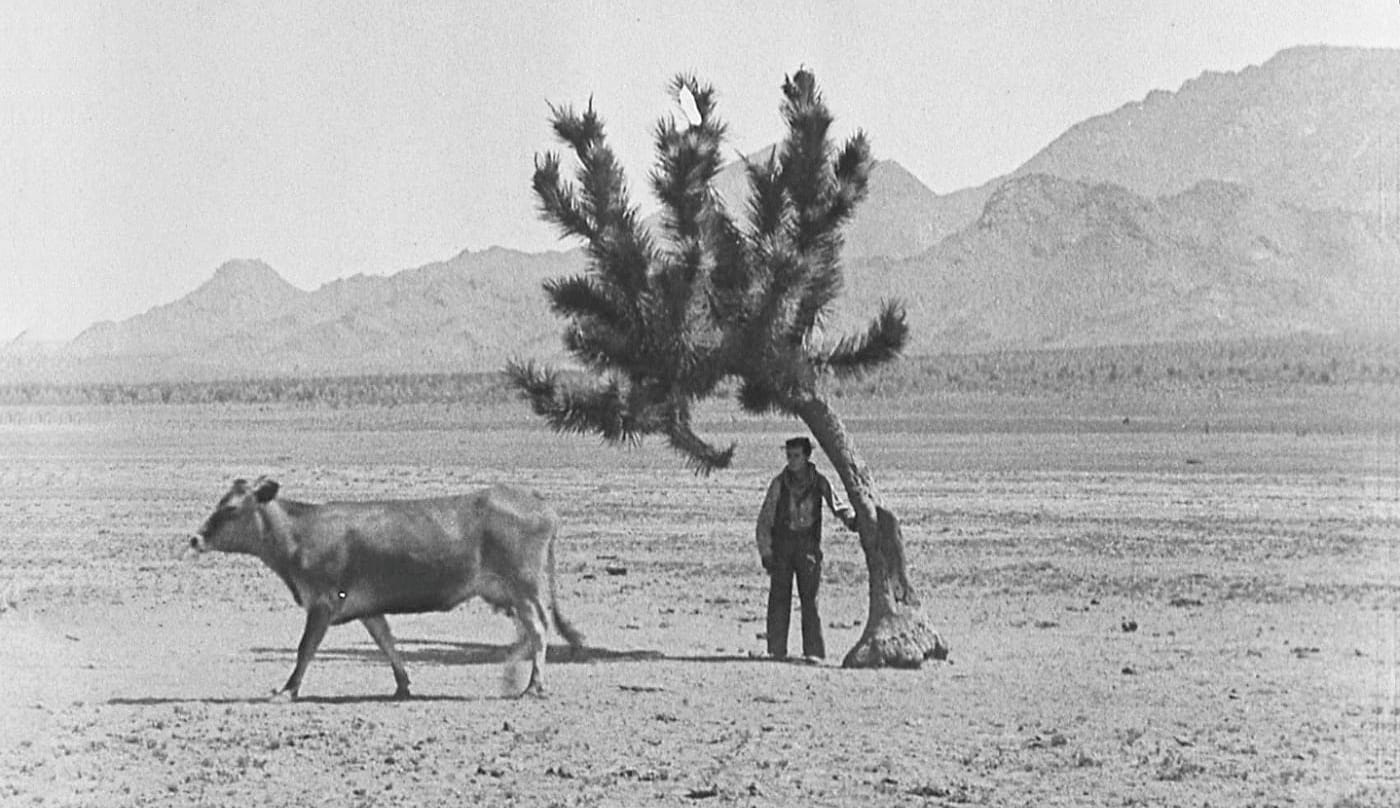 Go_West3 Feminists Insha’allah - La Révolution des Femmes | Feriel Ben Mahmoud | 2015